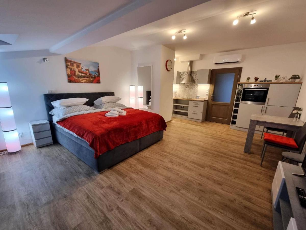 Podkrovni Studio Na Velkem Namesti S Wi-Fi Zdarma Hradec Králové Buitenkant foto